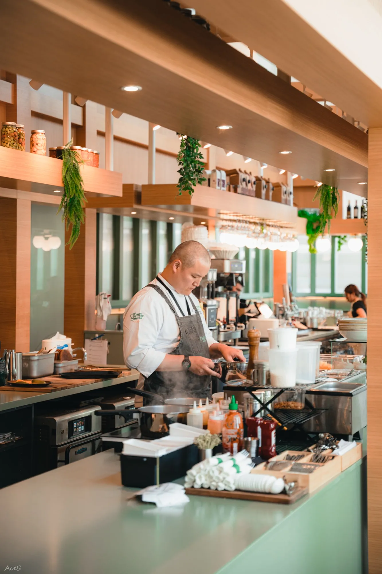 Chef cooking at open kitchen counter with hanging plants in modern Vancouver restaurant